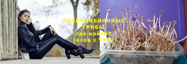 мяу мяу мука Белоозёрский